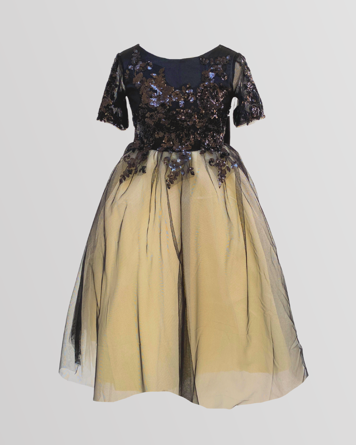 Full-Length Shiny Tulle Lace Puffy Dress