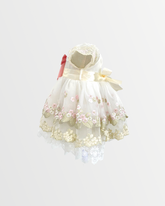 Embroidered Tulle Lace Dress